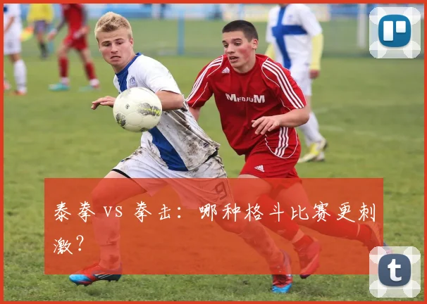 泰拳 vs 拳击：哪种格斗比赛更刺激？