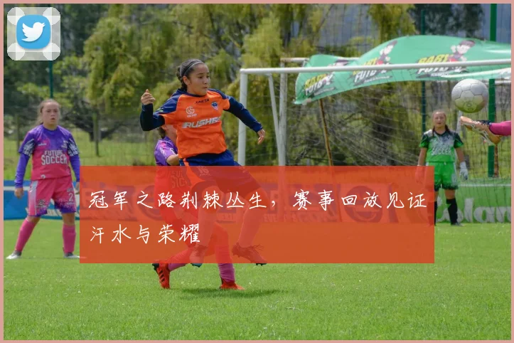冠军之路荆棘丛生，赛事回放见证汗水与荣耀