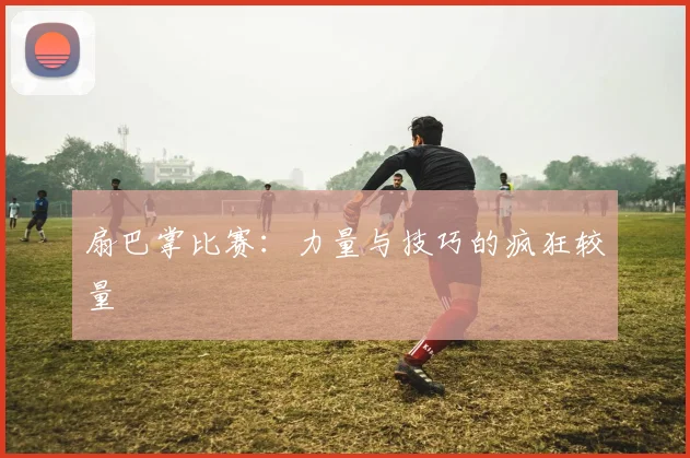 扇巴掌比赛:力量与技巧的疯狂较量