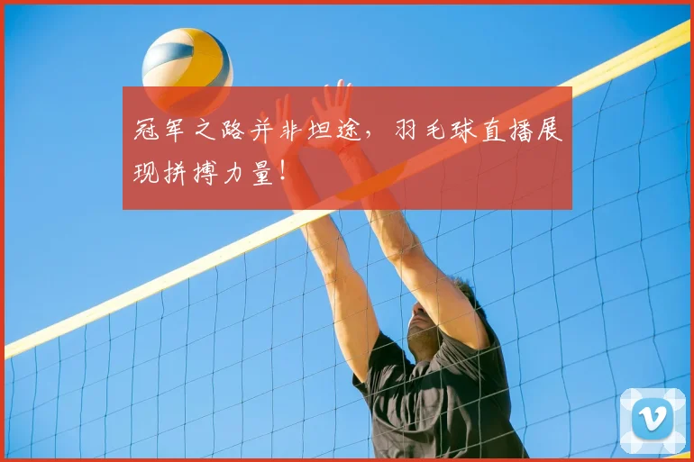 冠军之路并非坦途,羽毛球直播展现拼搏力量!