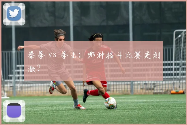 泰拳 vs 拳击:哪种格斗比赛更刺激?