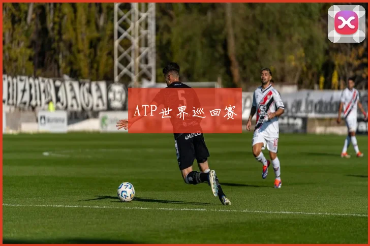 ATP世界巡回赛