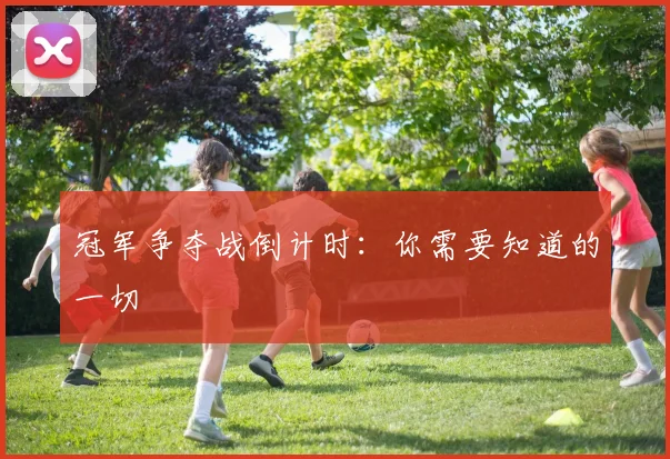 冠军争夺战倒计时：你需要知道的一切