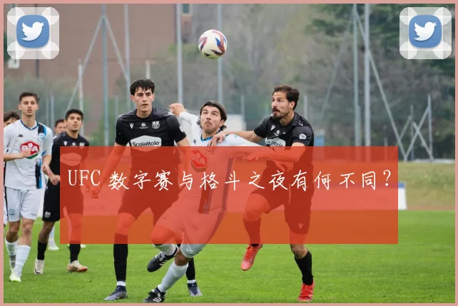 UFC 数字赛与格斗之夜有何不同?