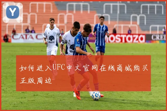如何进入UFC中文官网在线商城购买正版周边