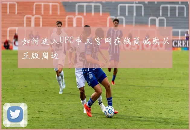 如何进入UFC中文官网在线商城购买正版周边