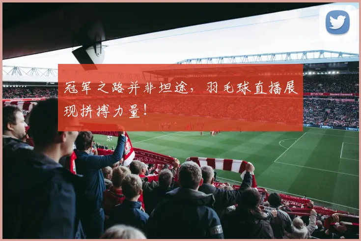 冠军之路并非坦途，羽毛球直播展现拼搏力量！